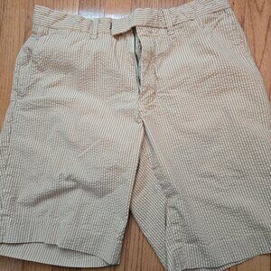 Mens Size 33 Polo Ralph Lauren Tan striped shorts